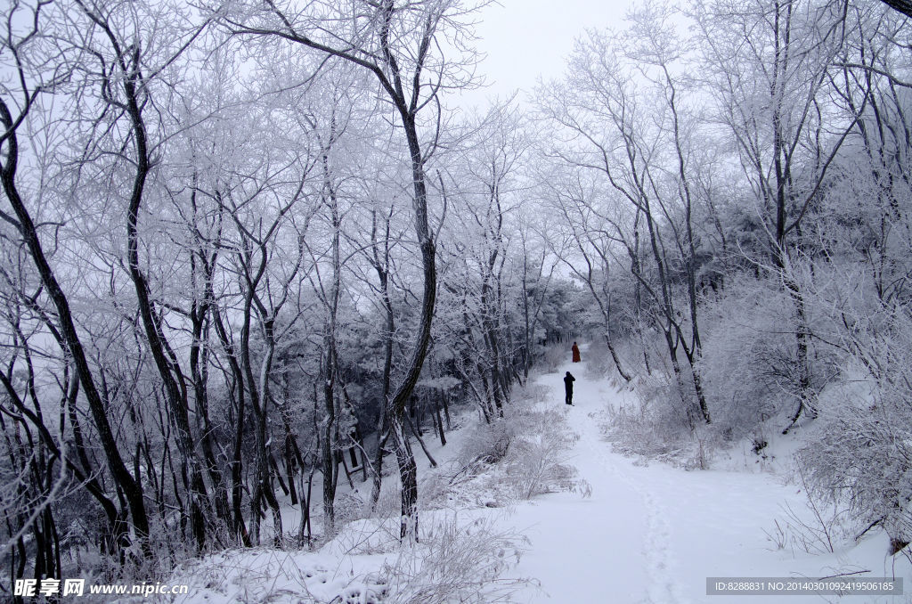 渑池韶山雪景