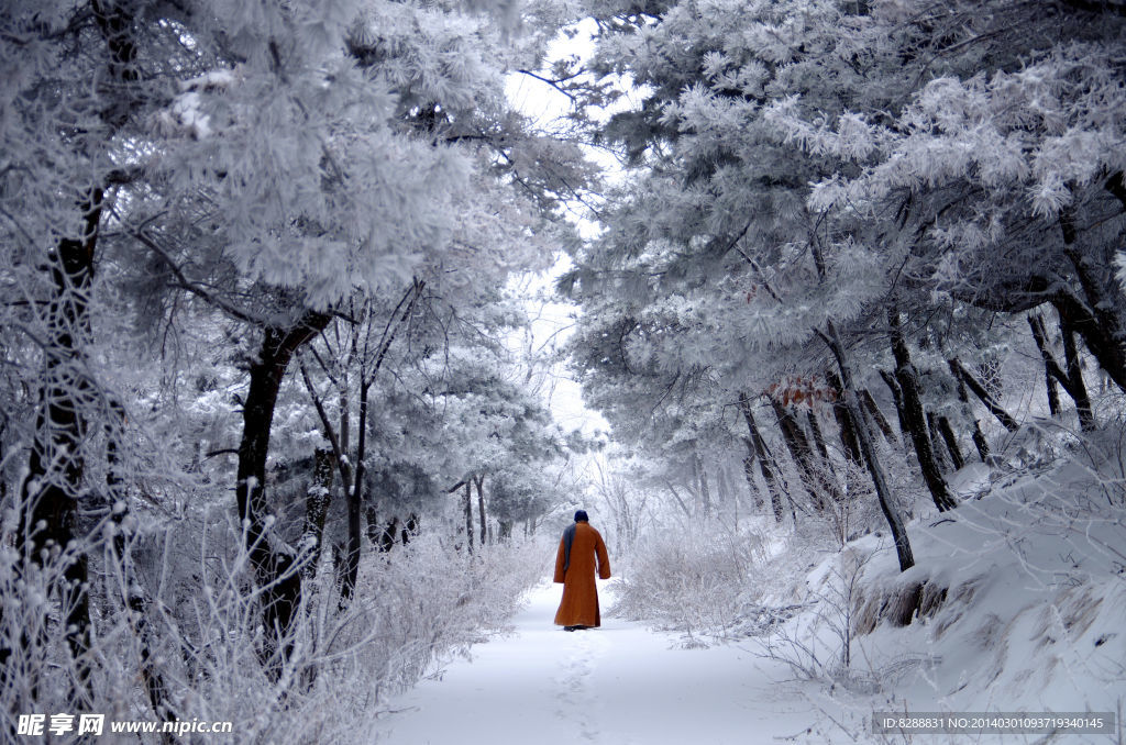 渑池韶山雪景