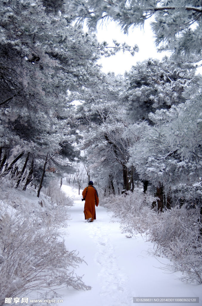 渑池韶山雪景