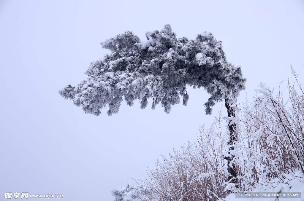 渑池韶山雪景