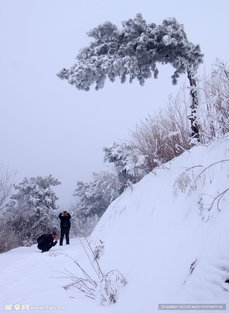 渑池韶山雪景