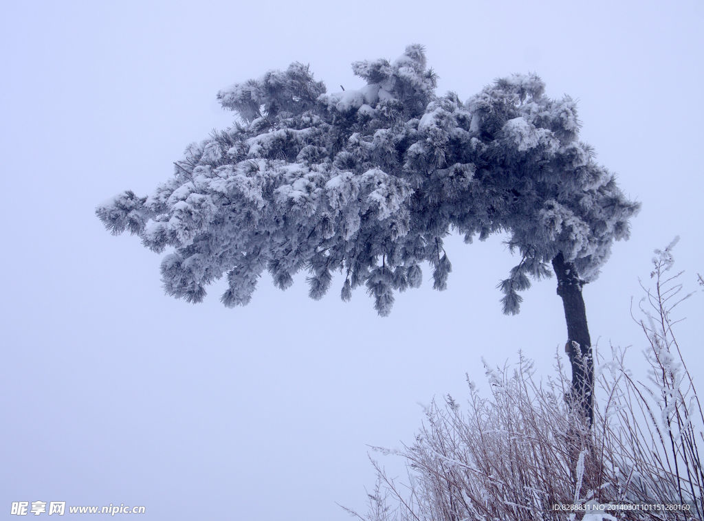 渑池韶山雪景