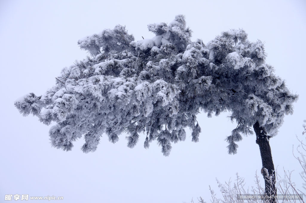 渑池韶山雪景