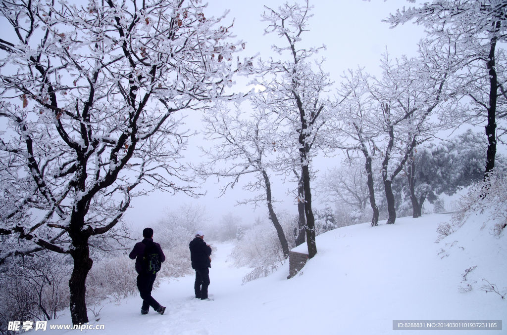 渑池韶山雪景