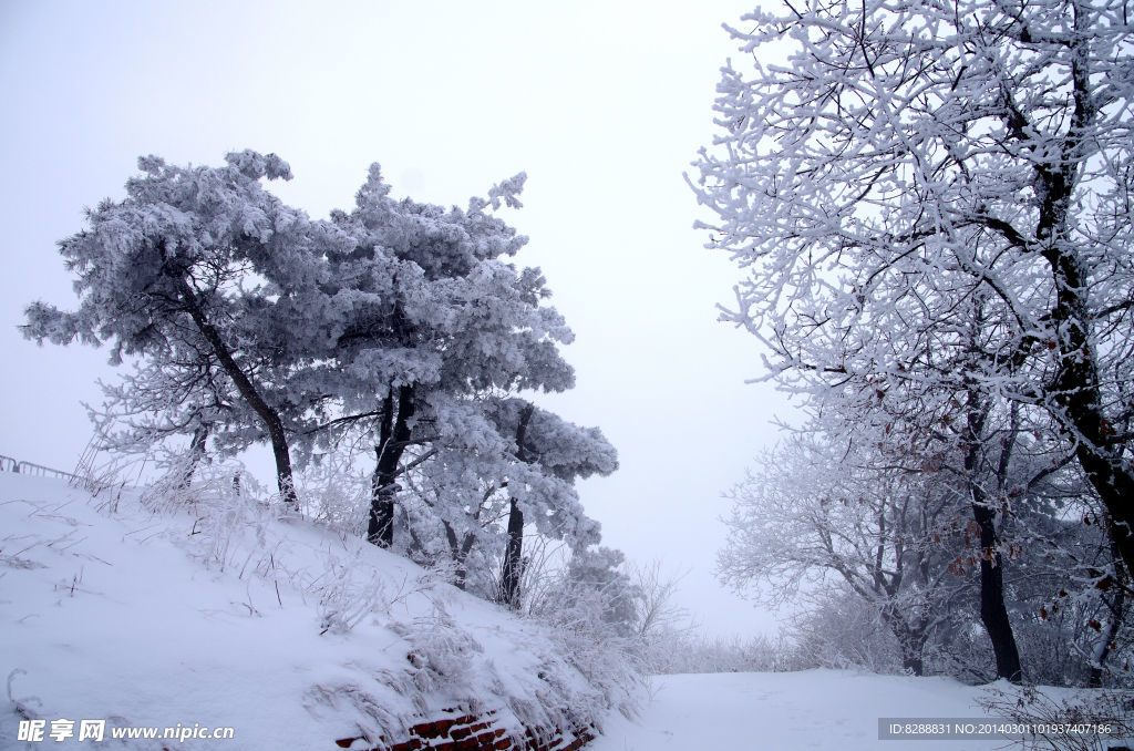 渑池韶山雪景