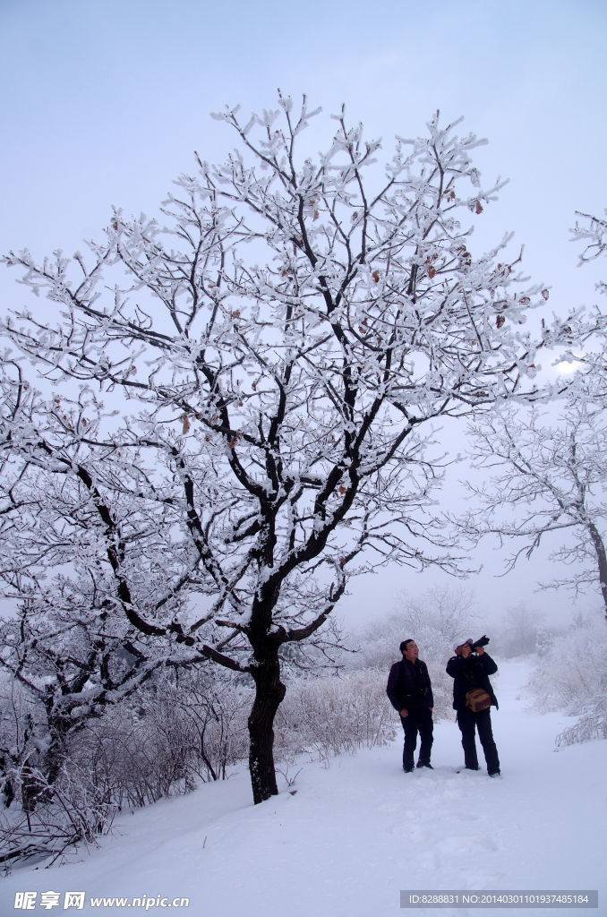 渑池韶山雪景