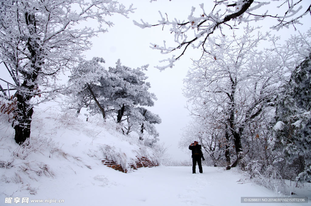 渑池韶山雪景