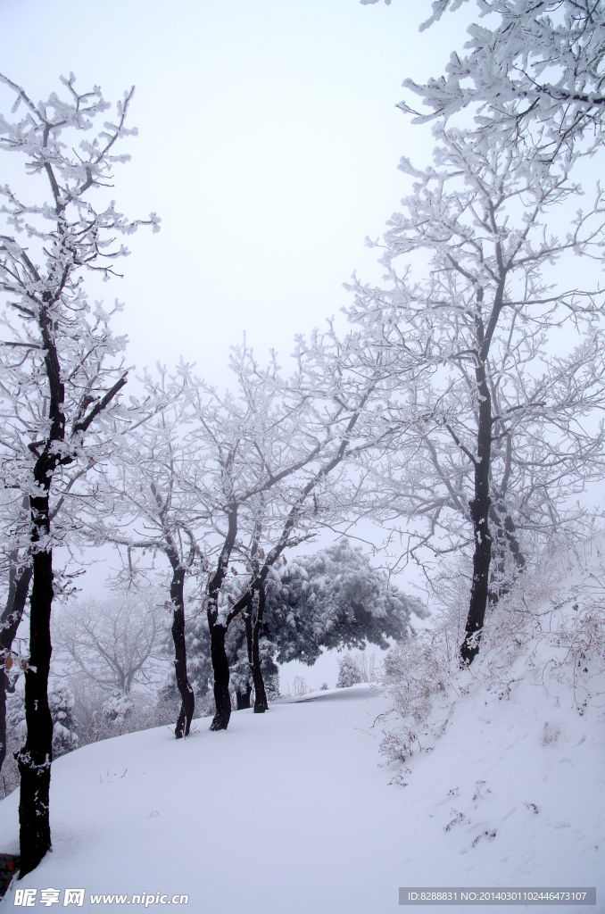 渑池韶山雪景