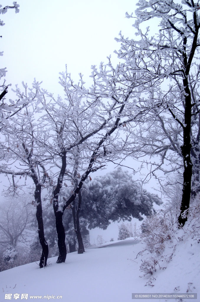 渑池韶山雪景