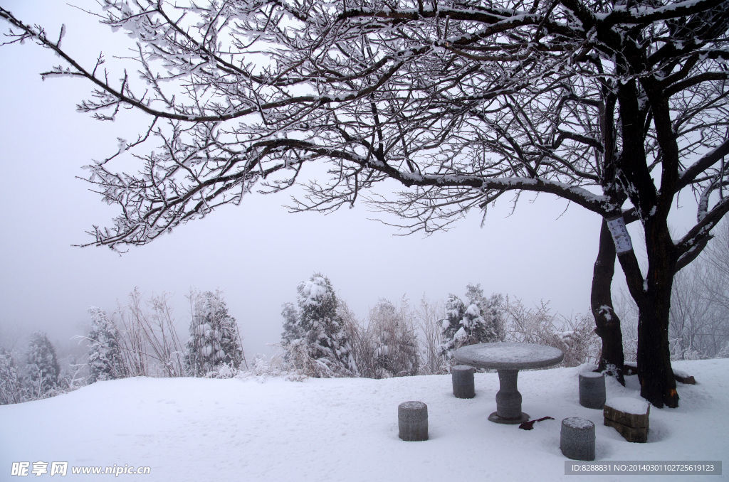 渑池韶山雪景