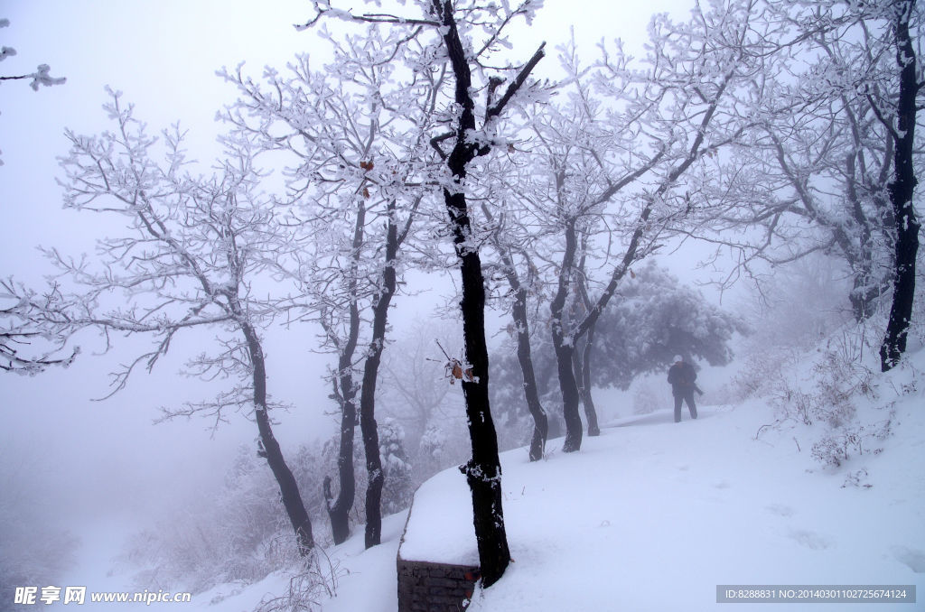 渑池韶山雪景