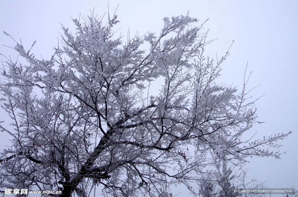 渑池韶山雪景