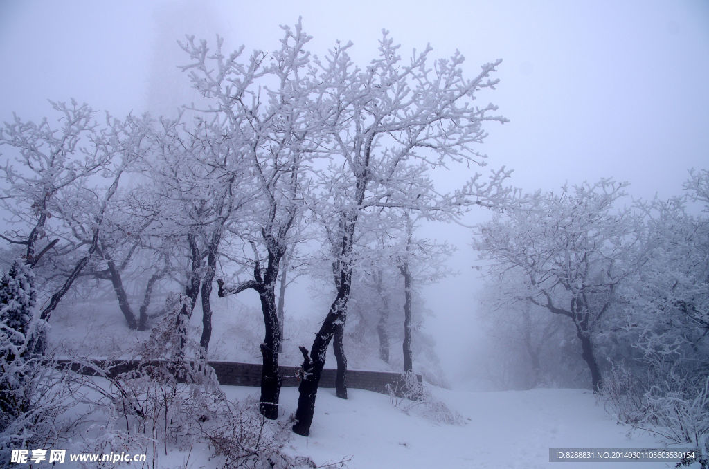 渑池韶山雪景