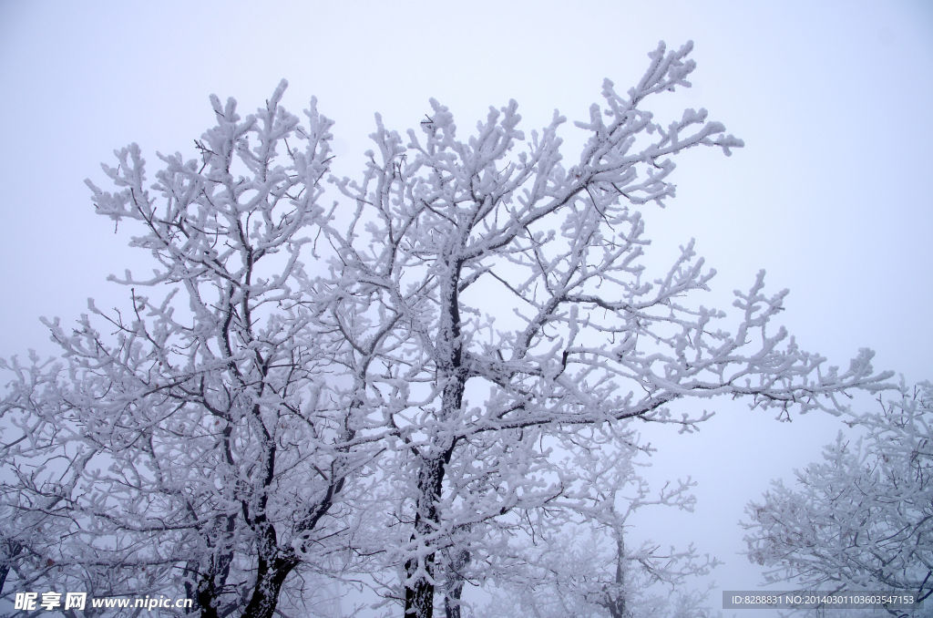 渑池韶山雪景