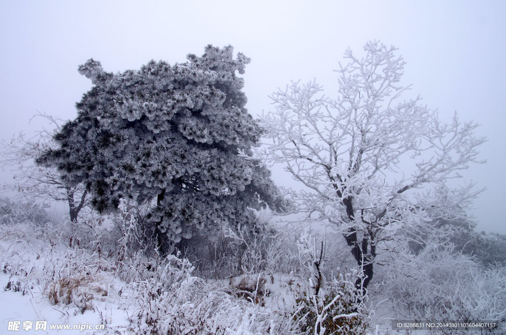 渑池韶山雪景