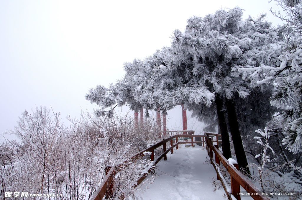 渑池韶山雪景