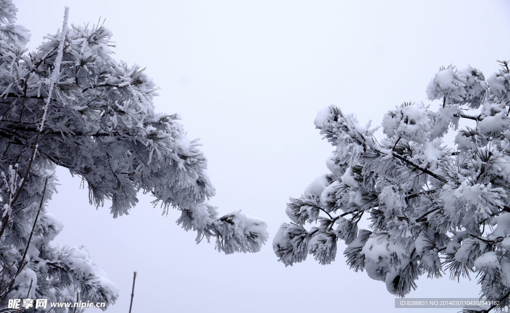 渑池韶山雪景