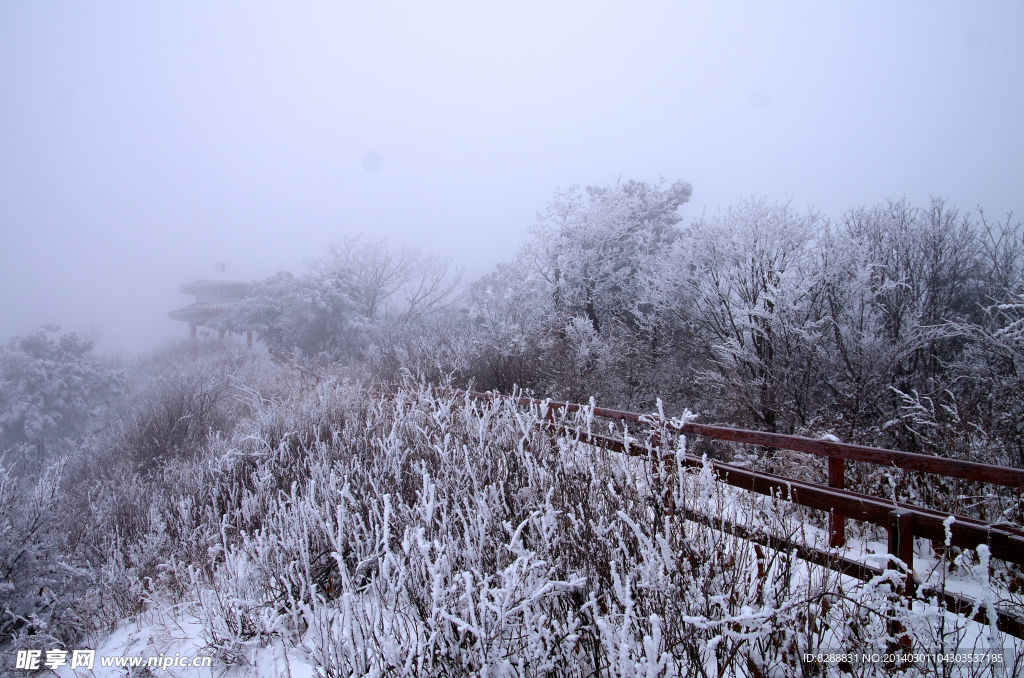 渑池韶山雪景
