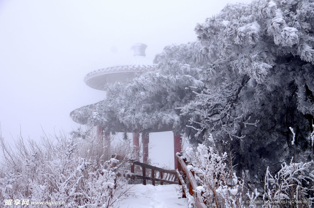韶山雪景