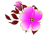 线条花