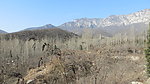 嵩岳风光