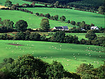 草原 爱尔兰 景色