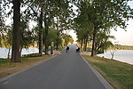 道路