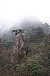 黄山