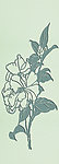 硅藻泥展板花纹