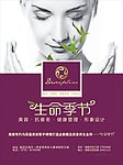 生命季节