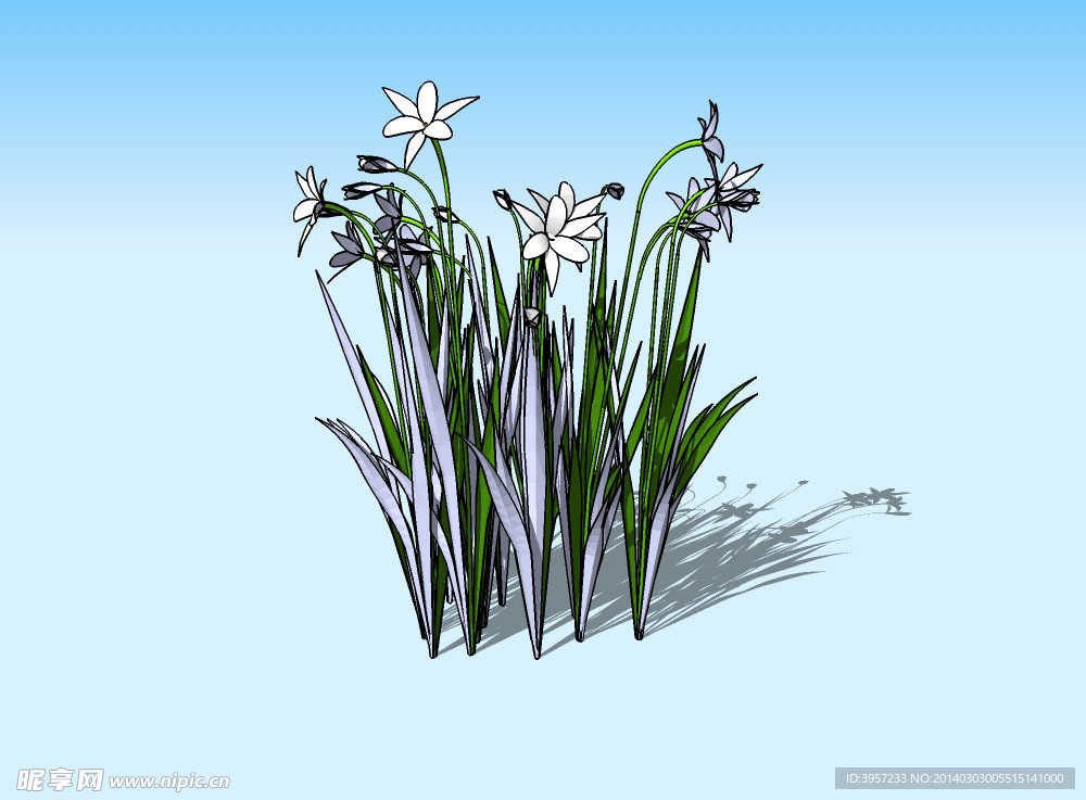 花草3D模型
