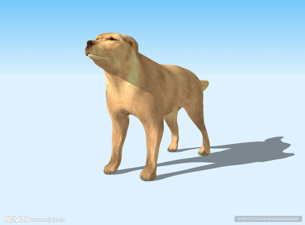 小狗3D模型