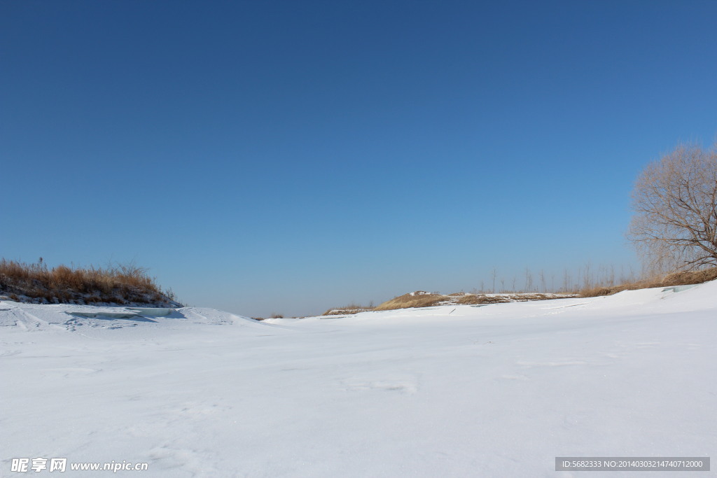 雪原