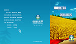 太平洋保险春节折页