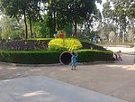 儿童娱乐