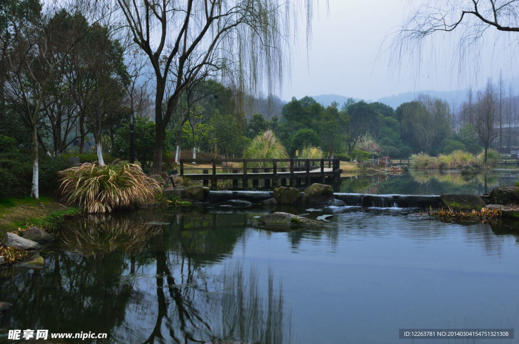 公园风景