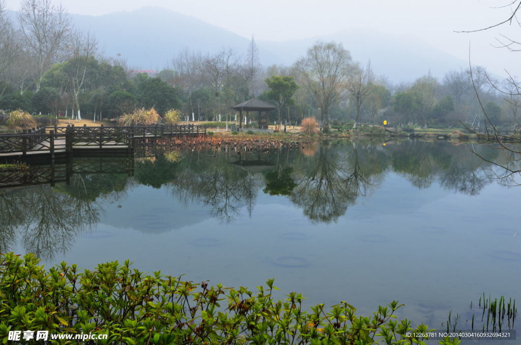 公园风景