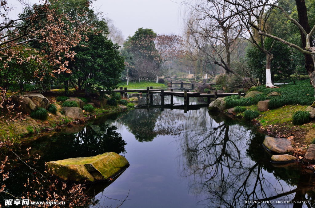 公园风景