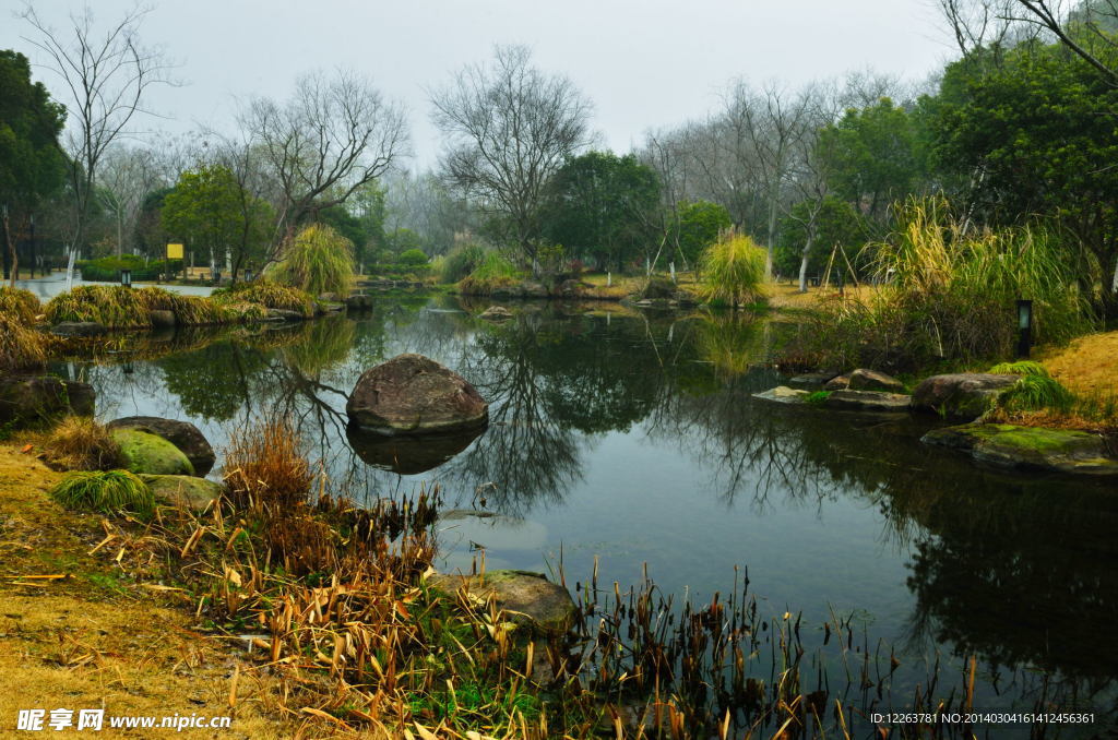 公园风景