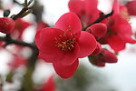 春暖花开