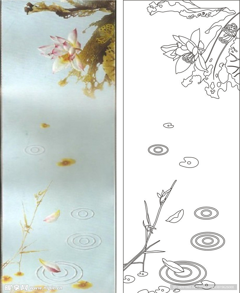暮春 荷花