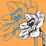 手绘鲜花