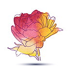 手绘鲜花