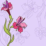 手绘鲜花