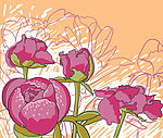 手绘鲜花 玫瑰