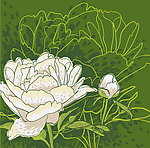 手绘鲜花
