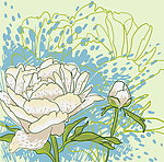 手绘鲜花