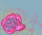手绘鲜花