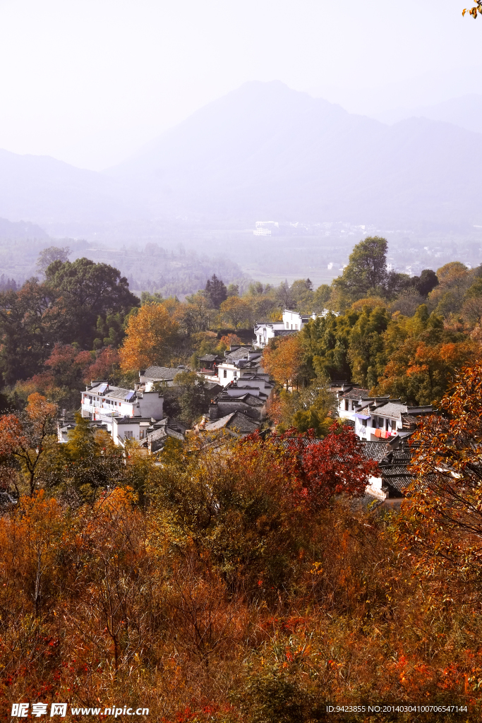 塔川 风景 秋色