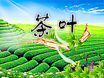 茶叶